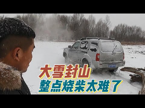 漫长寒冷的冬季，最缺的就是烧柴，大雪封山前赶紧囤货