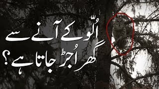 Dawatesilami Ullo Owl Kay Anay Say Ghar Ujar Jata Hai ? By Dar Ul Ifta Ahle Sunnat