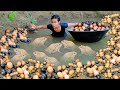 survival in the rainforest - Women Find Snail and egg at river  - Cooking Snail  foe food in forest