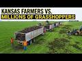 Here's How Kansas Farmers Dealt With Millions of Grasshoppers