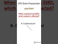 CPC Exams Preparation Anatomy #cpcexamsprep #education #medicalcoding