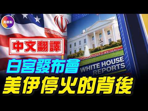 【中文翻譯】最新白宮發布會：揭秘美伊停火的背後協議！#真飛 #真觀點