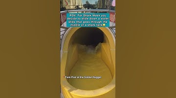 Water Slide Through a Shark Tank at the Tank Pool at the Golden Nugget in Las Vegas