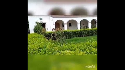 lbs college gonda look #gonda #bedcollege #degree_college #Lbs college gonda #subcribemychannel🙏🙏🙏🙏🙏