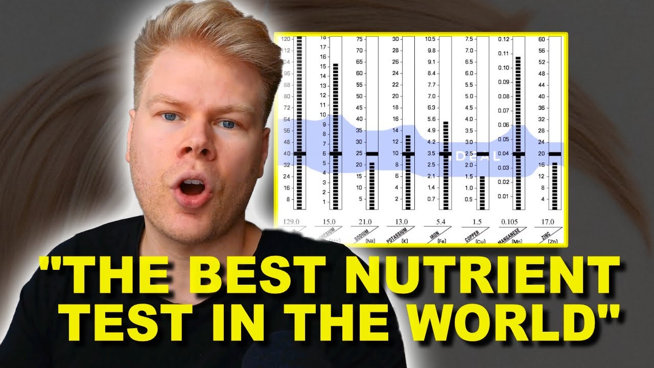 How To Interpret A Hair Mineral Analysis (HTMA) | Ratios, Patterns ...
