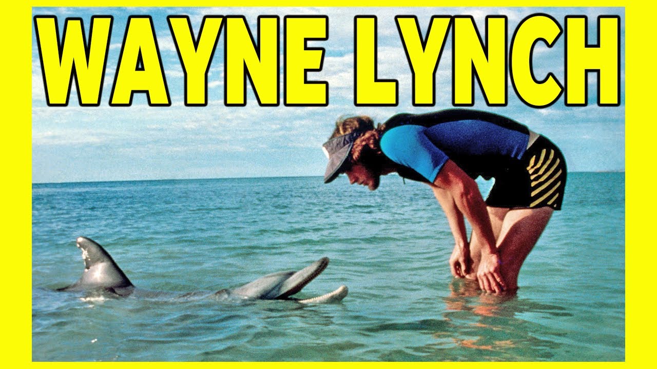 Wayne Lynch: The Surfing Genius Who Changed Surfing Forever