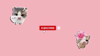 New youtube intro🎀🤍
