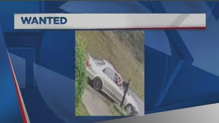 Most Wanted 11-18-2020