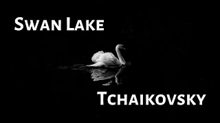 Swan Lake - Tchaikovsky [Cover by Yohann Zveig]