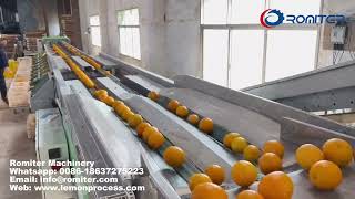 Automatic Leｍon Orange Washing Weight Grading Machine