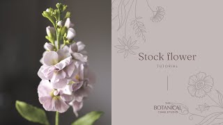 Stock (Gillyflower) Sugar Flower Tutorial (Gumpaste / Flower Paste)