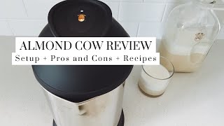 Almond Cow Full Honest Review + Easy Recipes