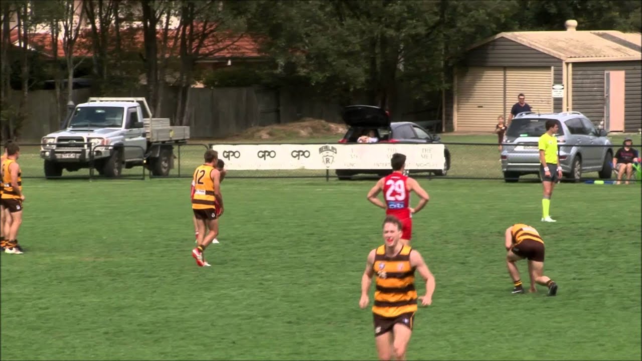 Hornets TV v Sydney Swans Wrap Up