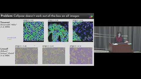 summary of cellpose 2.0 - how to train your own cellular segmentation model