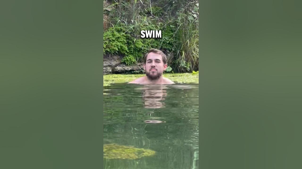 How to find (and pick up) Snakes YouTube