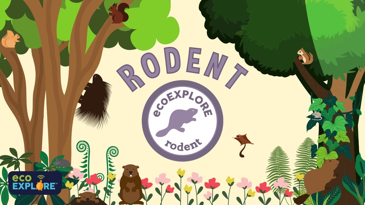 Nature Nook: Rodents of North Carolina