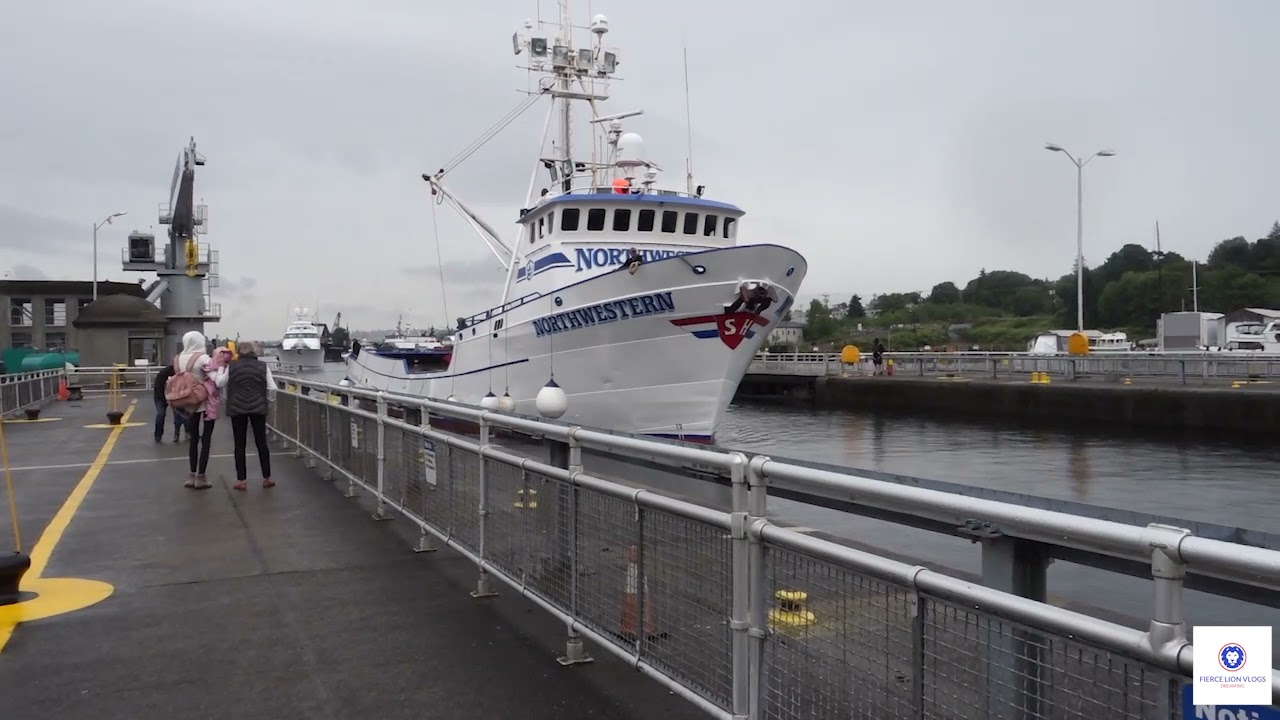 I saw the Northwestern Go Through the Seattle Boat Locks Today