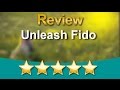 Professional Dog Trainer Puppy Training Class Atlantic Beach, Florida | Unleash Fido Professional Dog Trainer Puppy Training Class Atlantic Beach, Florida | Unleash Fido