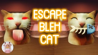 Roblox ESCAPE BLEH CAT! SOLO Full Gameplay Walkthrough No Death [4K]