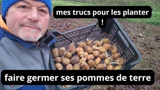 Comment faire germer les pommes de terre ? quand les planter ?