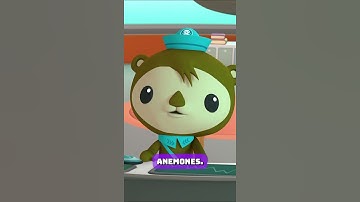Aggrevating Anemones | #shorts #octonauts #anemones