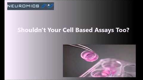 3-D Cell Based Assays