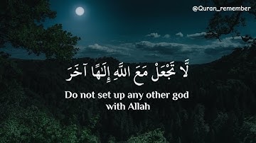 تلاوة هادئة تفيض جمالاً أرح بها بالك ومسمعك - القارئ أحمد النفيس
