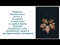 Моя психологическая помощь. Часть 4: Вопросы Личностного Роста и Развития