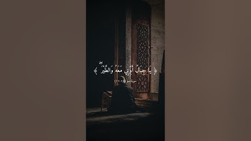 تلاوة هادئة بصوت ناصر القطامي ارح سمعك 🤍🎧.