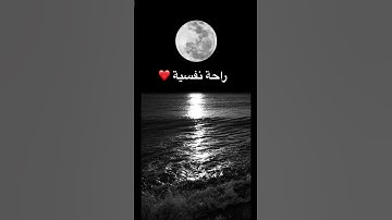 بعيدا عن ضجيج العالم 🤍 #الشيخ #القران_الكريم #راحة_نفسية #تلاوة_خاشعة #تلاوة_هادئة