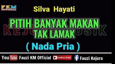Silva Hayati - PITIH BANYAK MAKAN TAK LAMAK [ Karaoke ] Nada Pria / Cowok