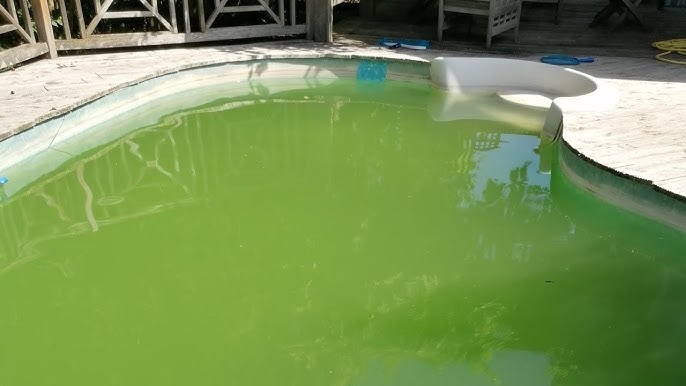 แก้ไขปัญหาตะไคร่น้ำเขียวในสระว่ายน้ำ กับ CTX 530 Algae stop - YouTube