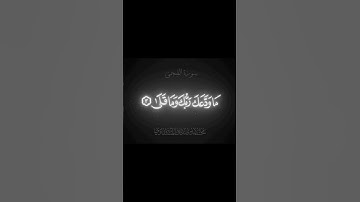 اكتب شيء تؤجر عليه يوم القيامة 😴🤍 #القرآن_الكريم #آيات_الرحمة