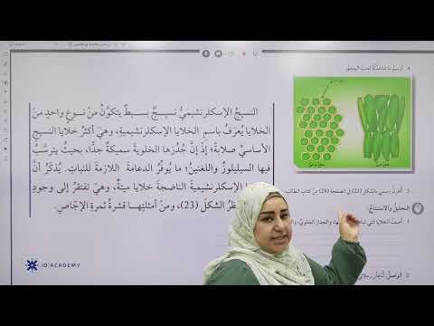 نشاط اثرائي مشاهدة الخلايا الاسكلرنشيمية في النبات كتاب الأنشطة والتمارين مع  