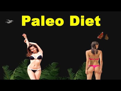 Fast Paleo Diet Food Recipes Cookbook