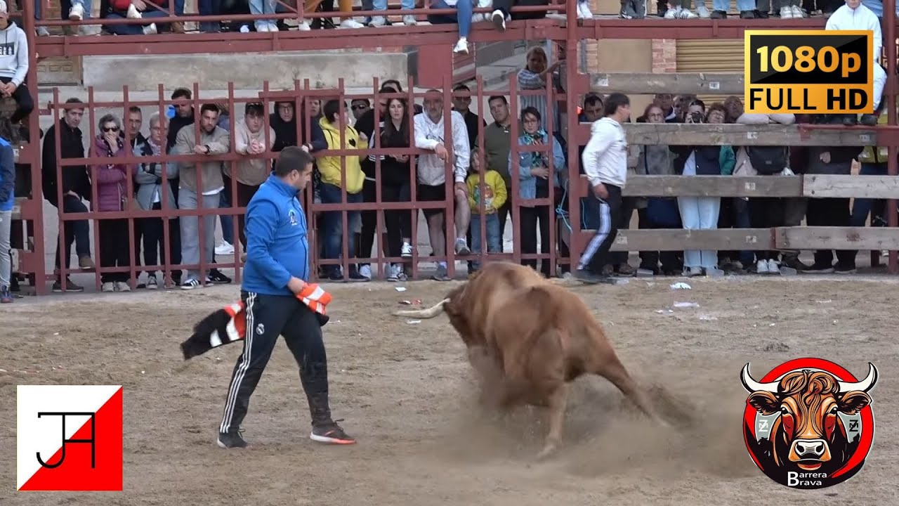 Luceni. Suelta de Vacas | 26/04/2025 | Ganad. Arriazu