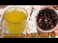 How to Make Clear Organic Palm Kernel Oil | The Best Alternative to Coconut Oil