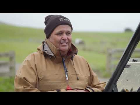 One NZ Satellite | HALTER  | Connecting cow to the stars