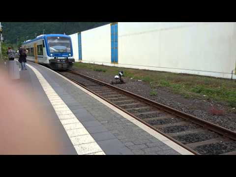VEN 650|Rhenus Veniro|Moselweinbahn Einfahrt Traben-Trarbach
