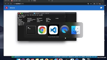 Installation quill editor in angular 10, 12