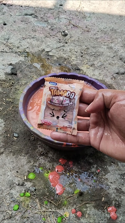 ini tamada atau gery meisis ya gaes