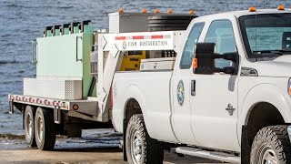 Fish Stocking 2023 - NDGF - 07-20-2023