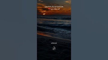 رعد الكردي تلاوة روعة أكثر آية تزرع الأمل في القلب#قرآن #راحة_نفسية |أجمل حالات الواتس