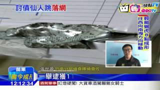 20161125中天新聞 「睡到大哥的女人」爆裂物討債 設局仙人跳