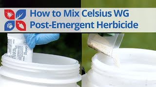 How to Mix Celsius WG