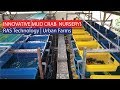Innovative Urban Mud Crab Farming Nursery with RAS Technology