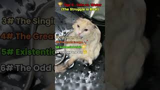 🏆 Top 6 : Cats vs. Water (The Struggle is Real)