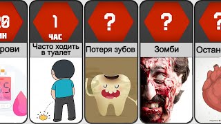 Что если Питаться только Шоколадом?