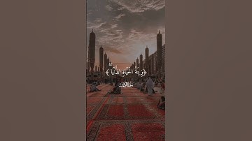 القرآن راحة النفسيه تلاوة خاشعة حالات واتس اب قرآن كريم