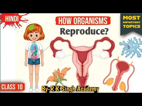 How Do Organism Reproduce